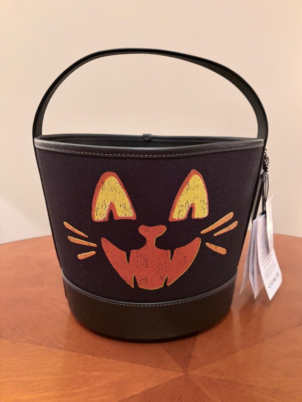 🐈⬛ 🎃 Coach Halloween Black Cat Trick-r-Treat Bucket - NWT - Picture 2 of 9